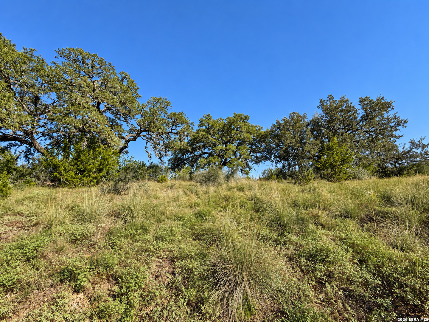 LOT 32 Lariat Trace
