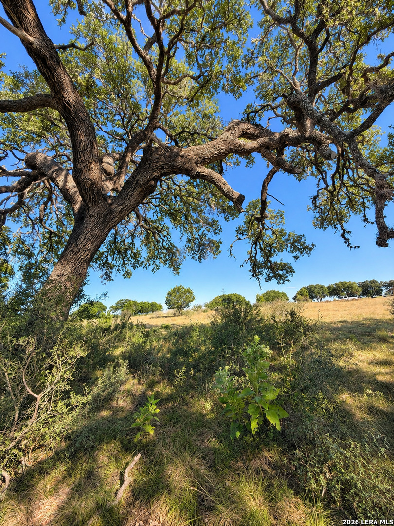LOT 32 Lariat Trace