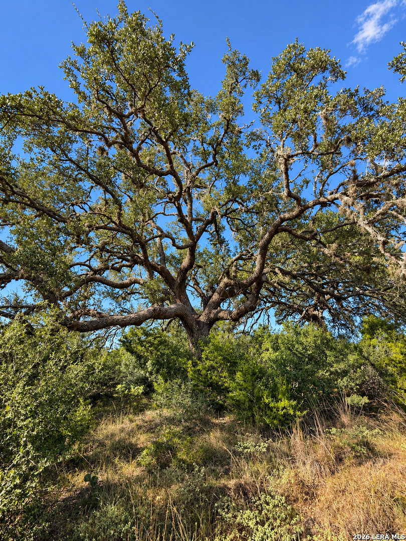LOT 32 Lariat Trace