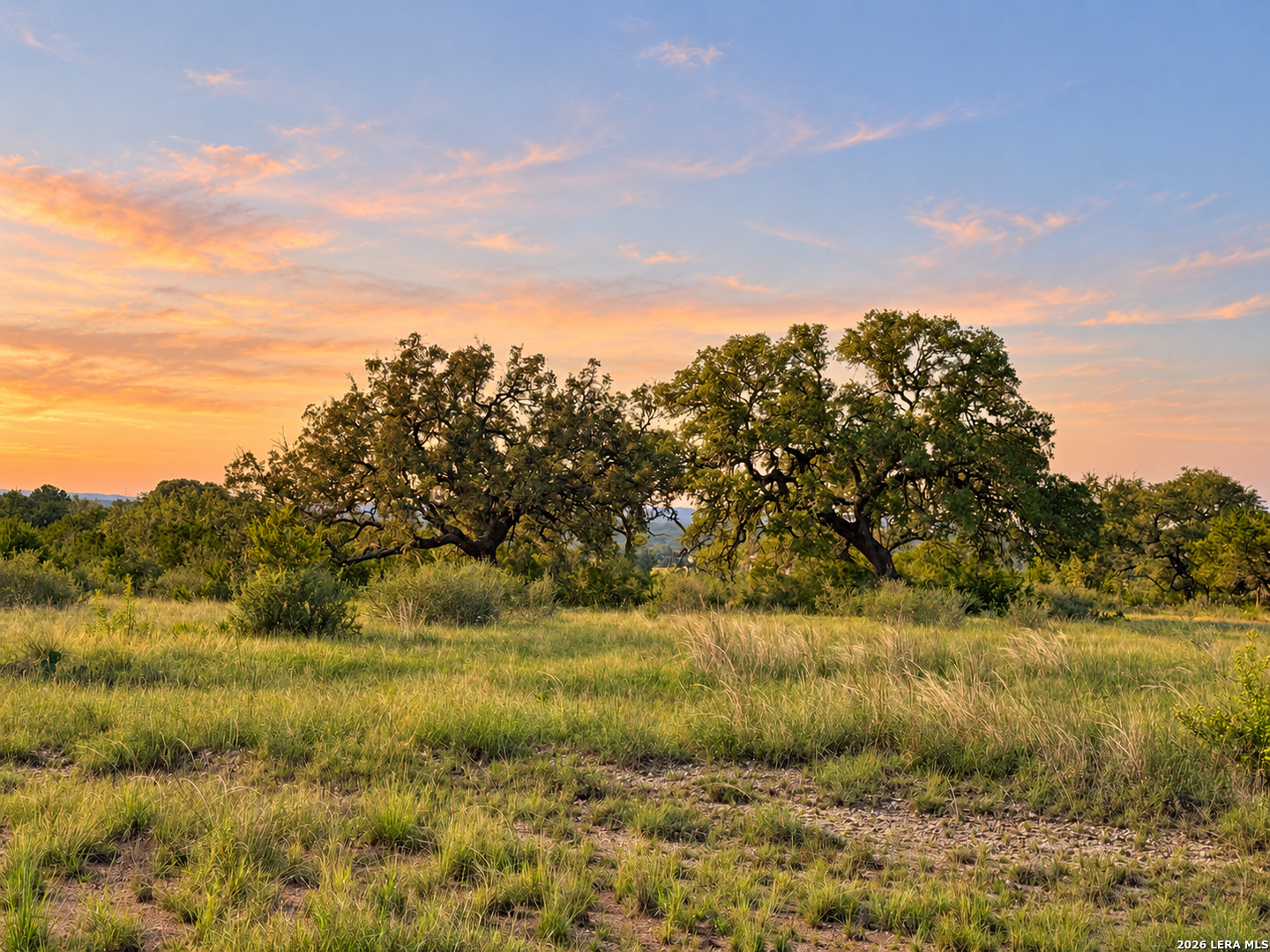 Grassy rural land with mature oak trees beneath an orange and blue sunset sky.