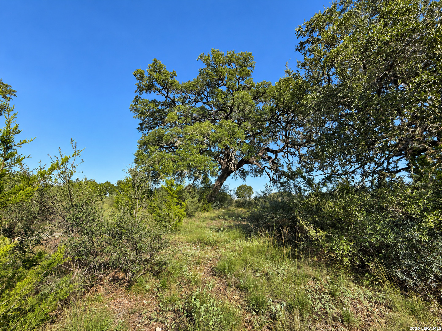 LOT 32 Lariat Trace