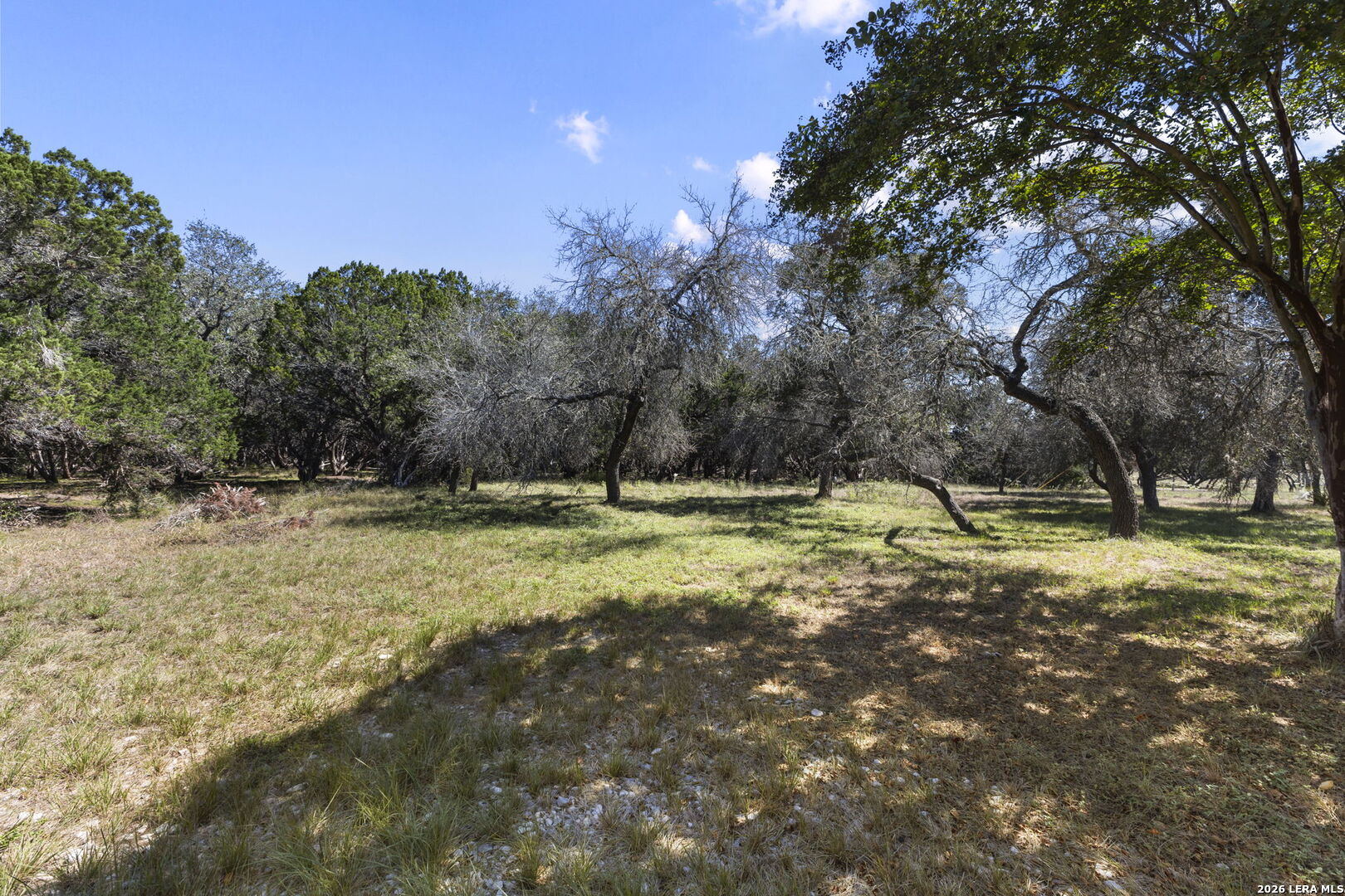 138 Comanche Path