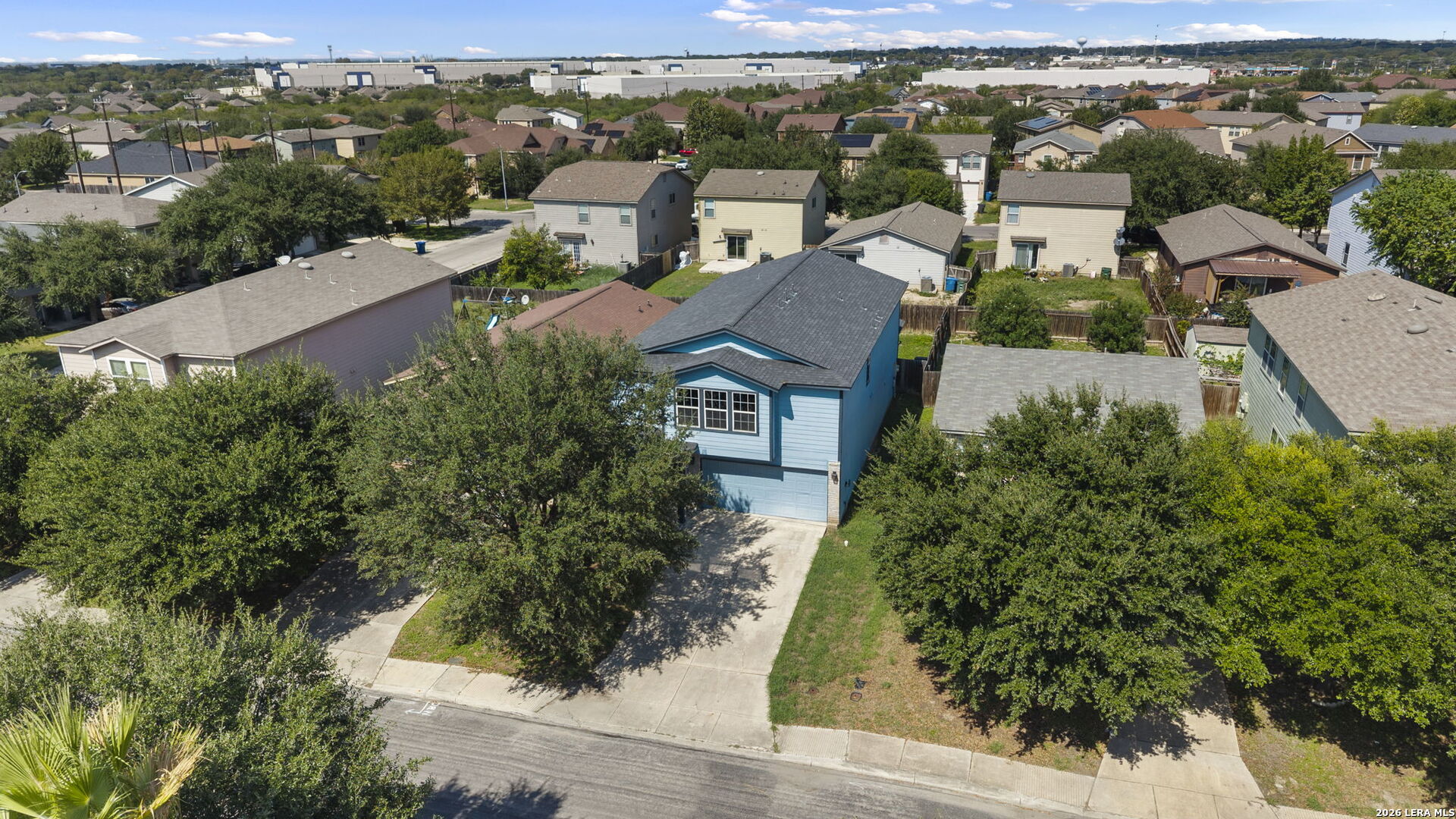 6011 Plumbago