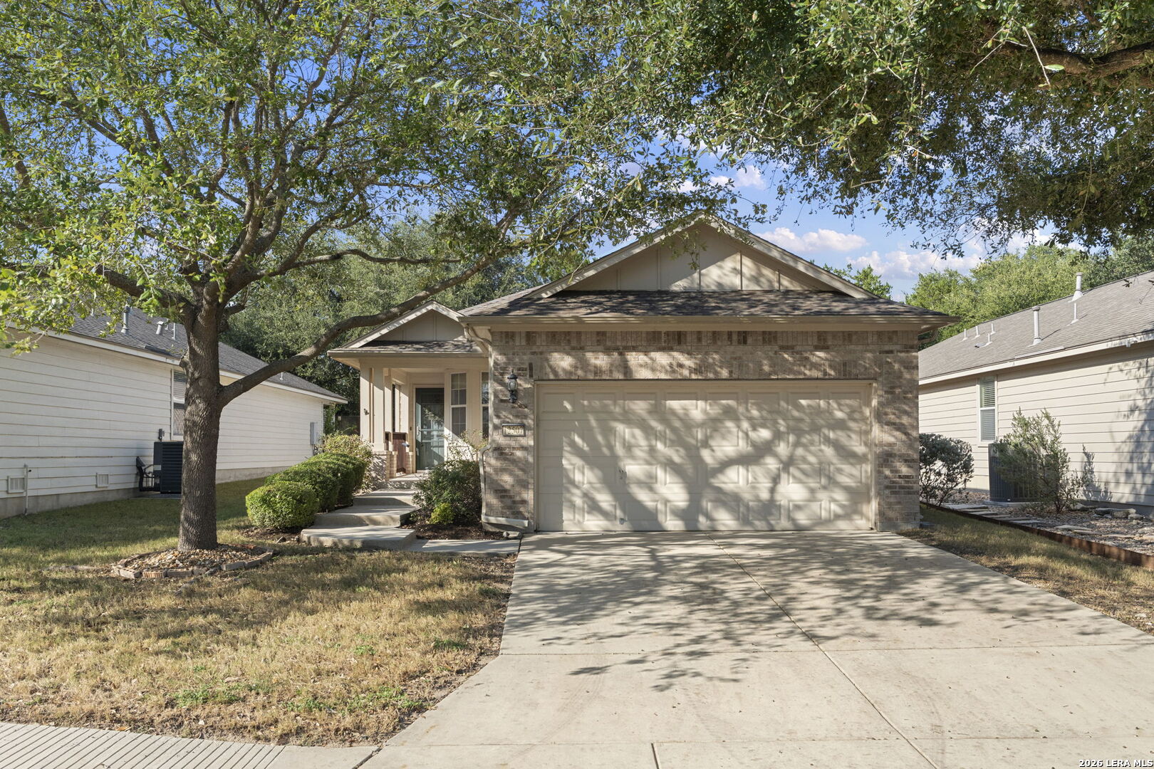 12507 Desert Palm