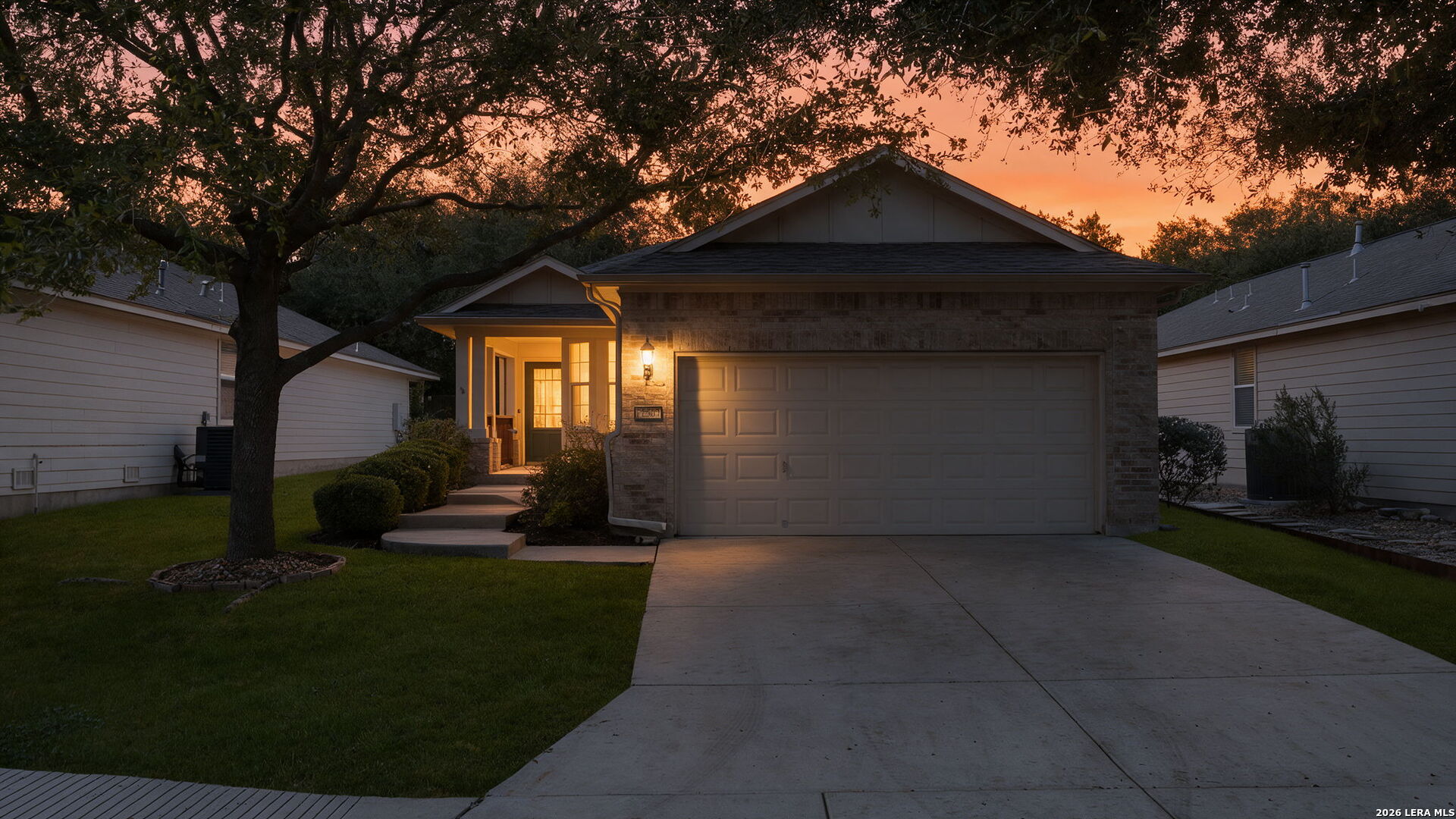 12507 Desert Palm