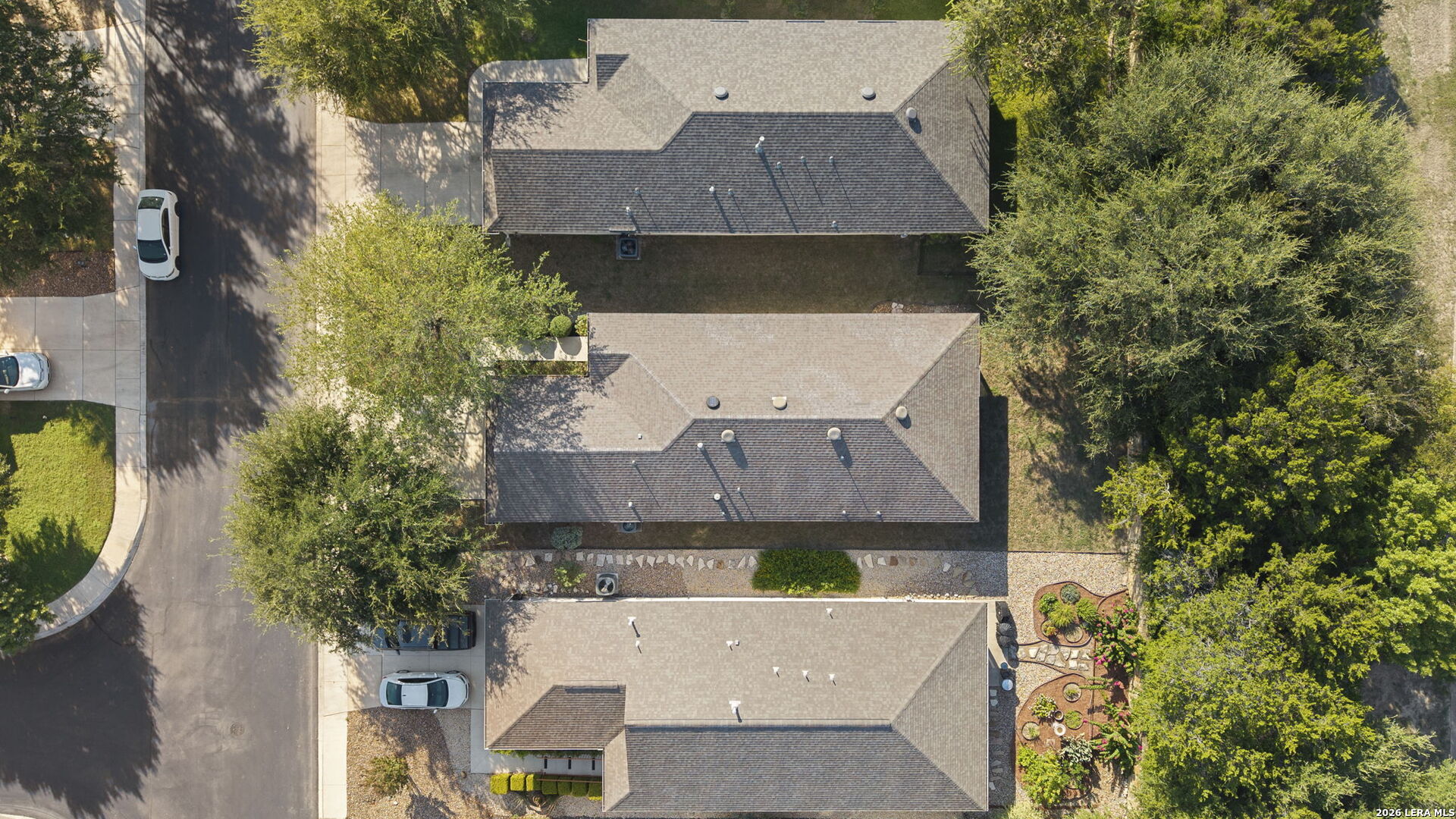 12507 Desert Palm
