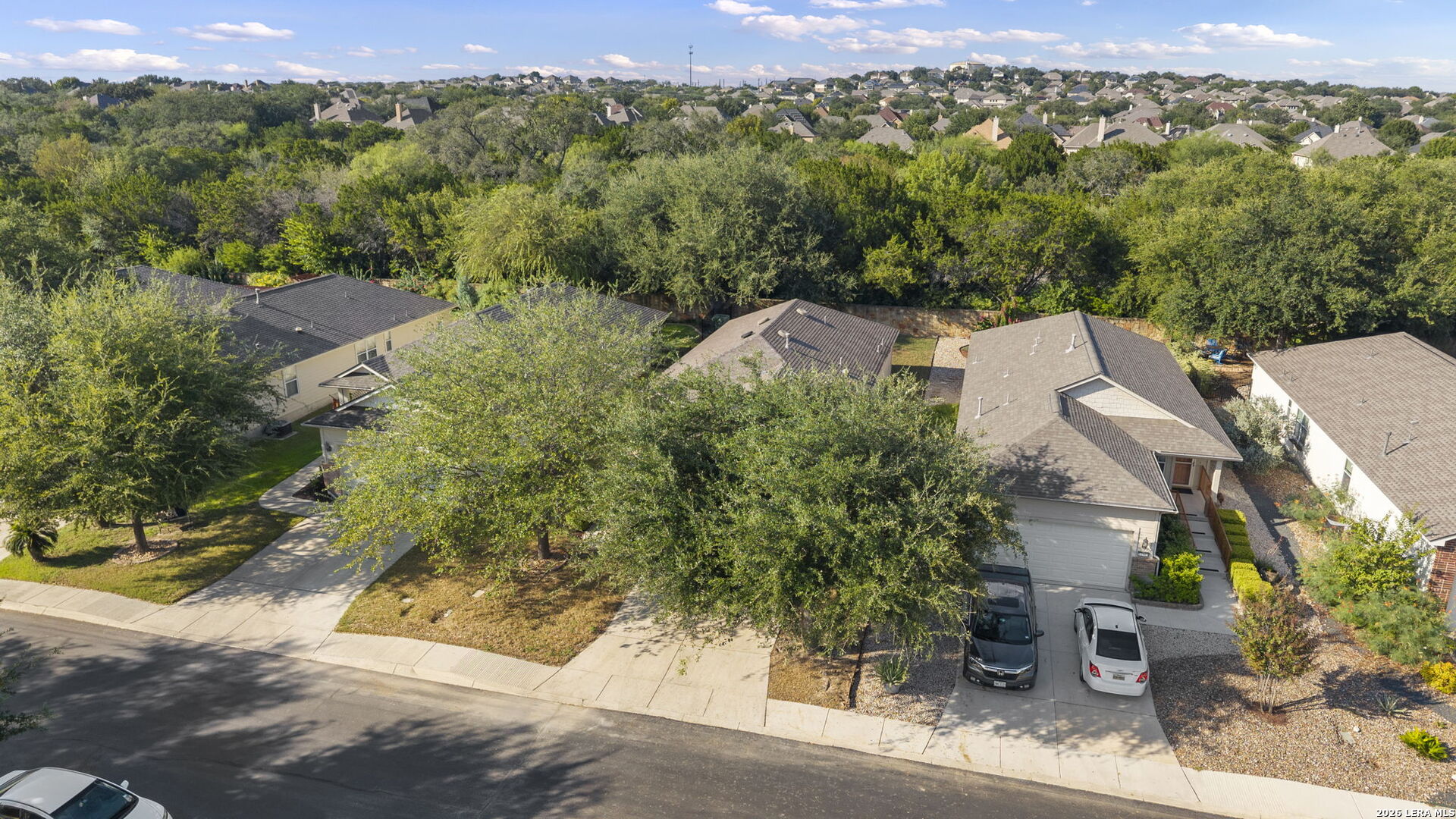 12507 Desert Palm