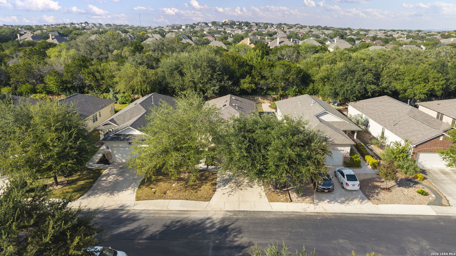 12507 Desert Palm
