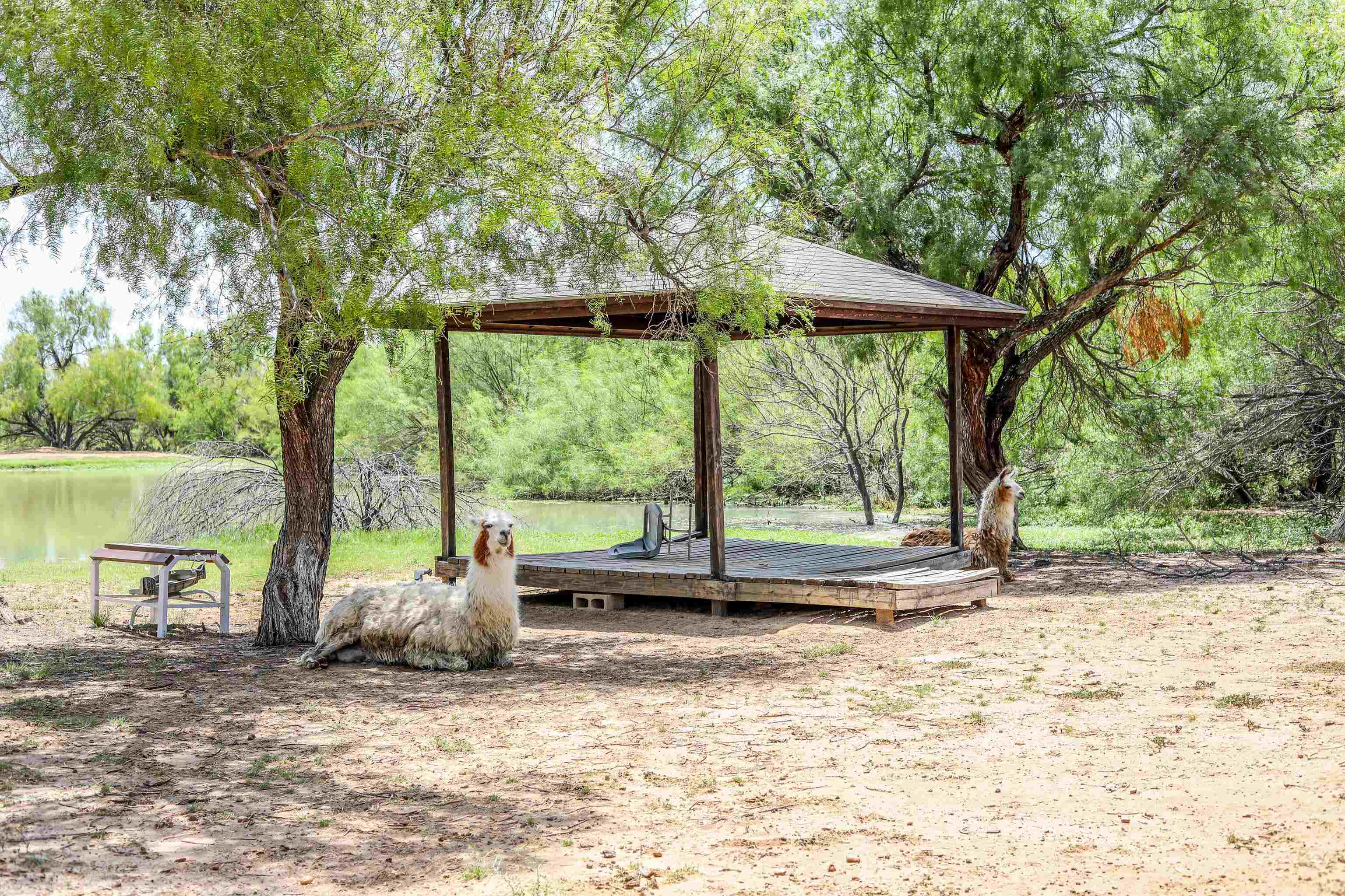 1273 Ben Silva Rd.