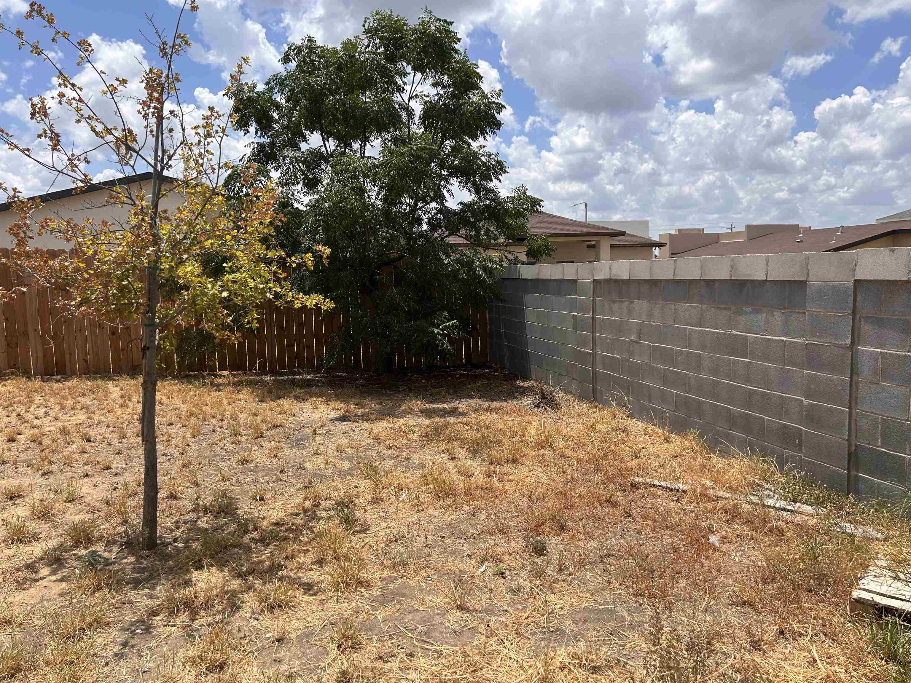 1615 Doctora Eve Perez Ln