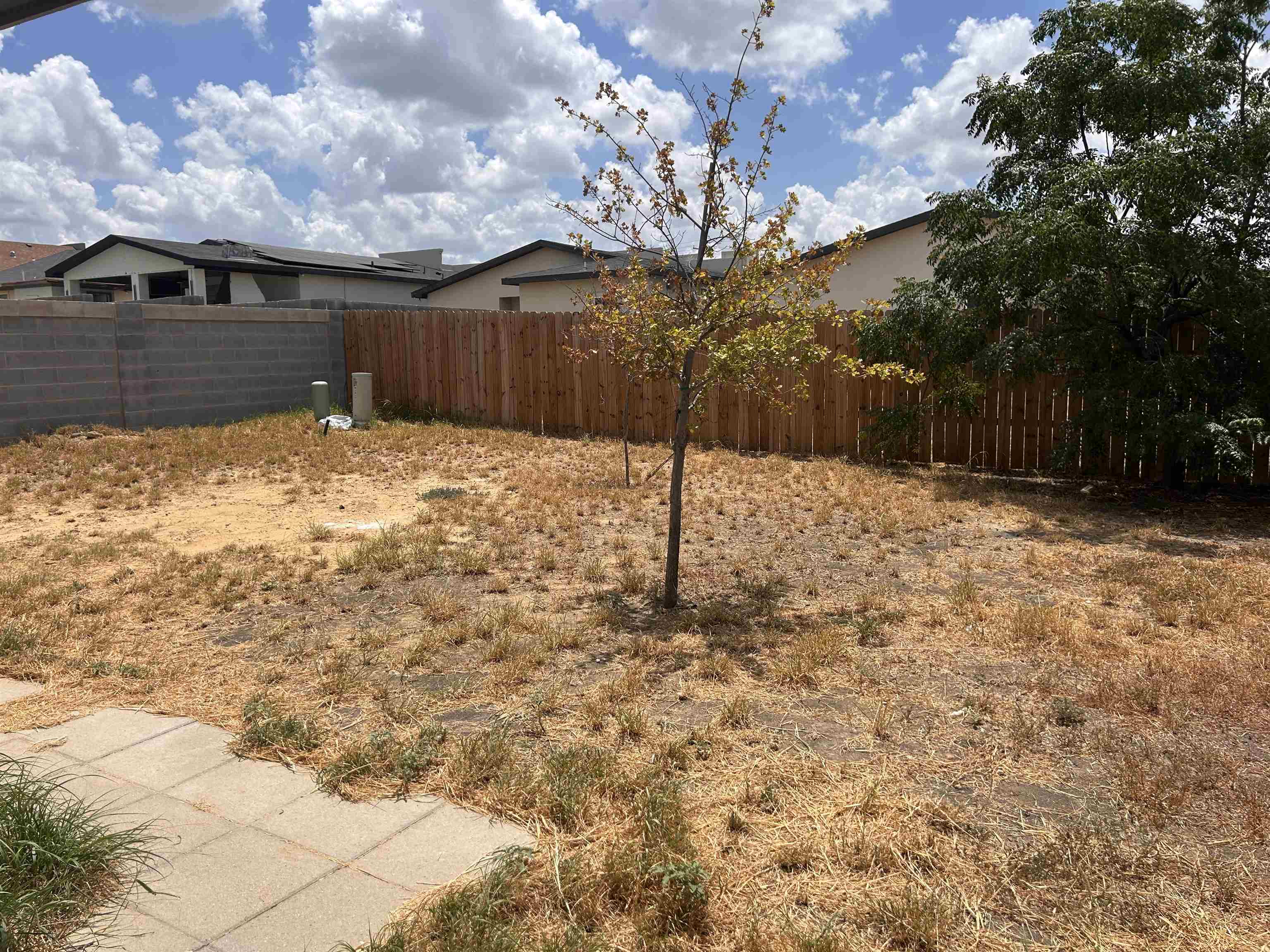 1615 Doctora Eve Perez Ln