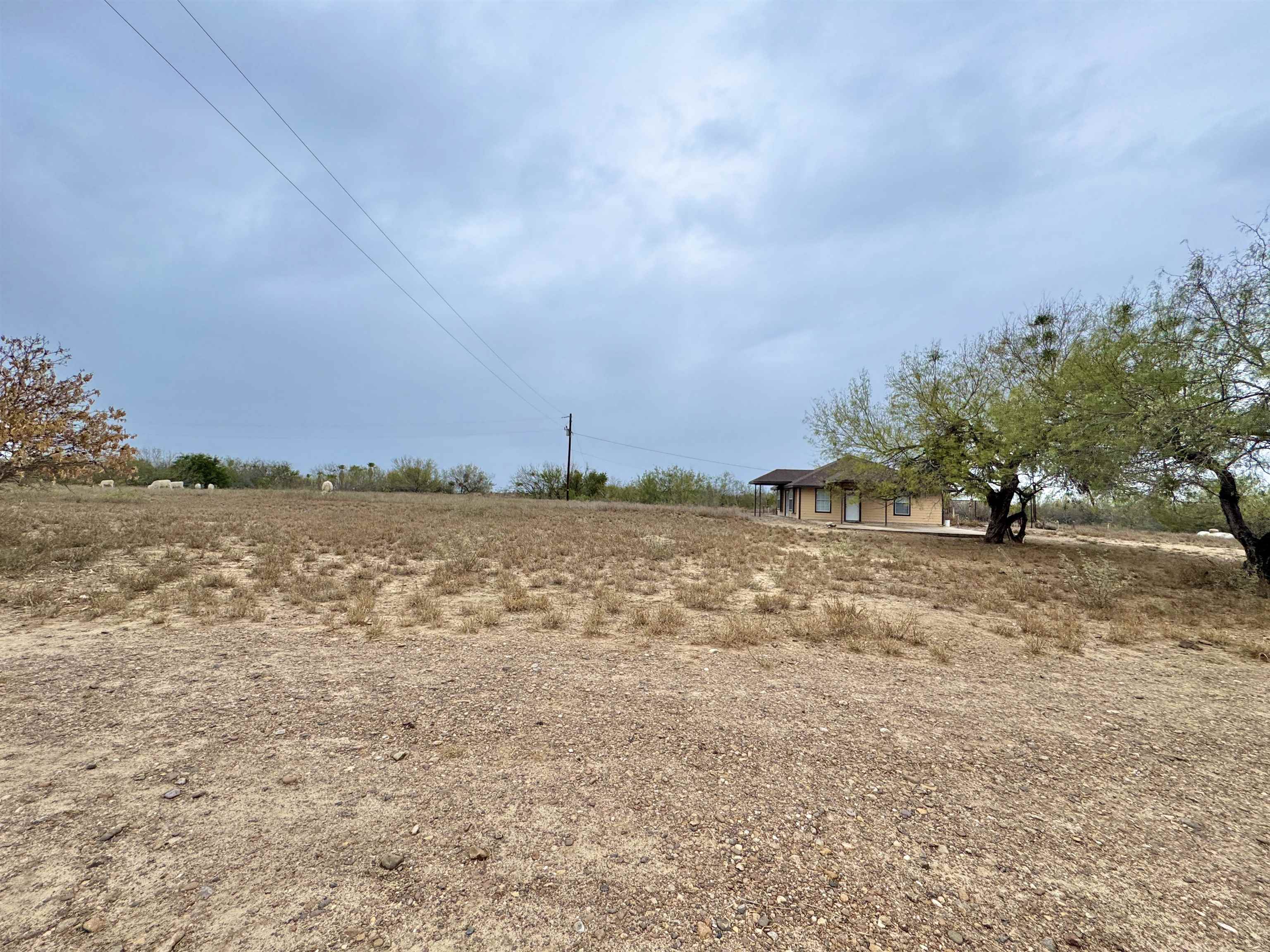 143 Meza Salinas Rd.