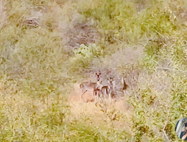 6252B U.S. Hwy 83 North