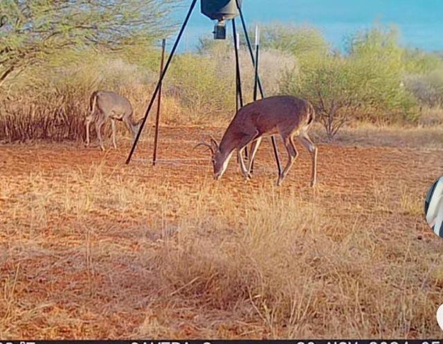 6252B U.S. Hwy 83 North