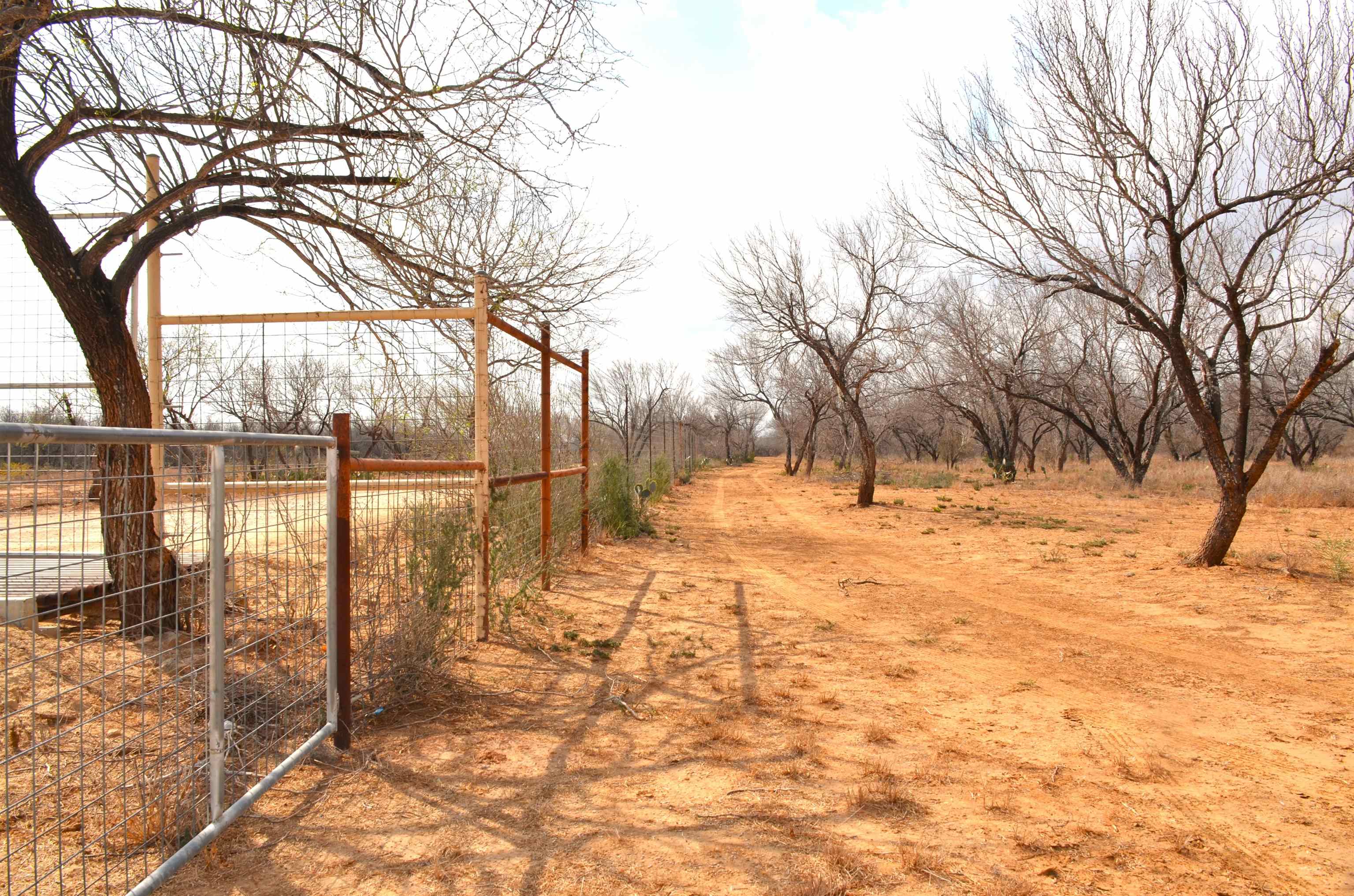 450 Ranch Road 6294H