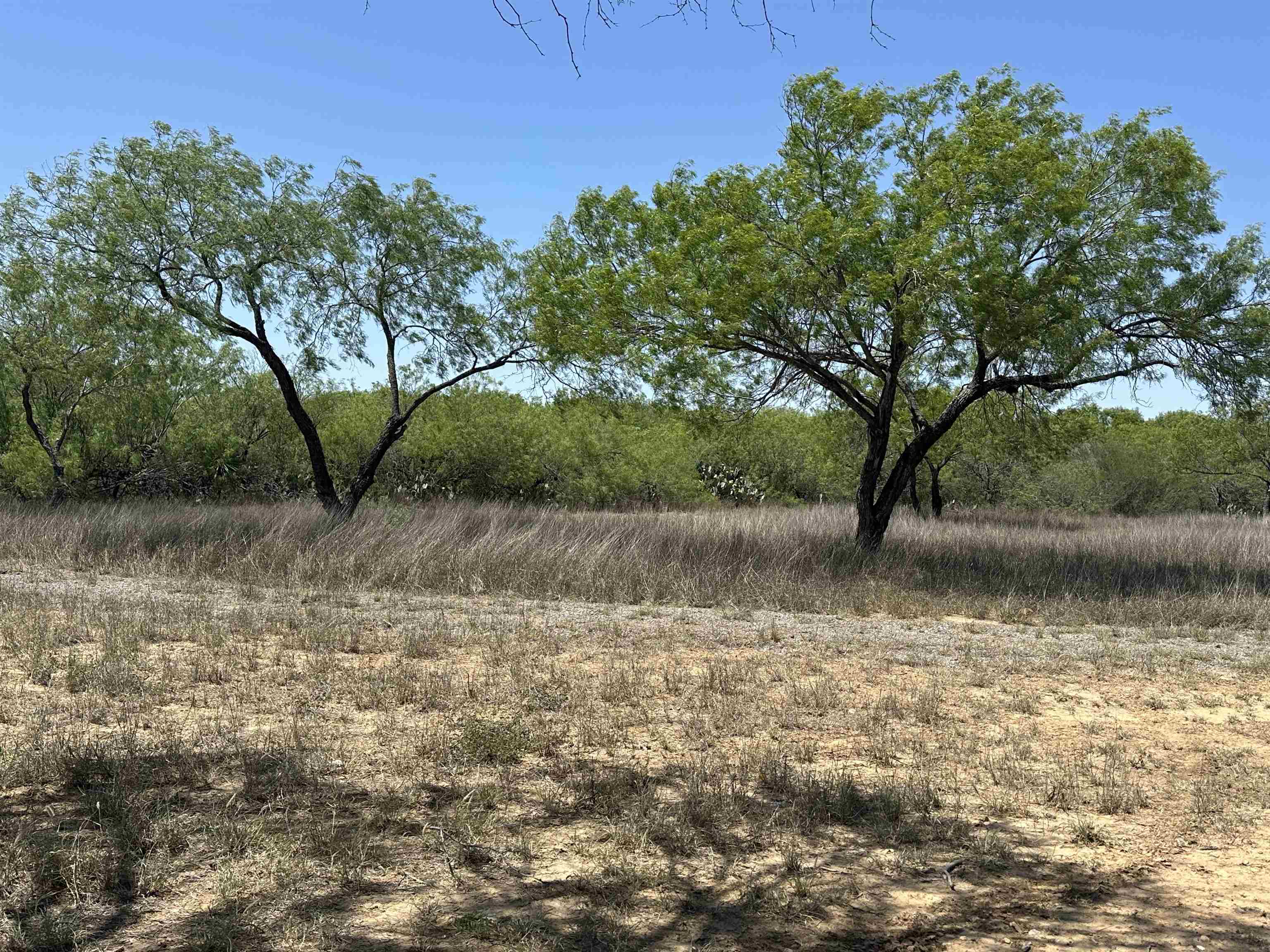 1 Well Ln Laredo TX