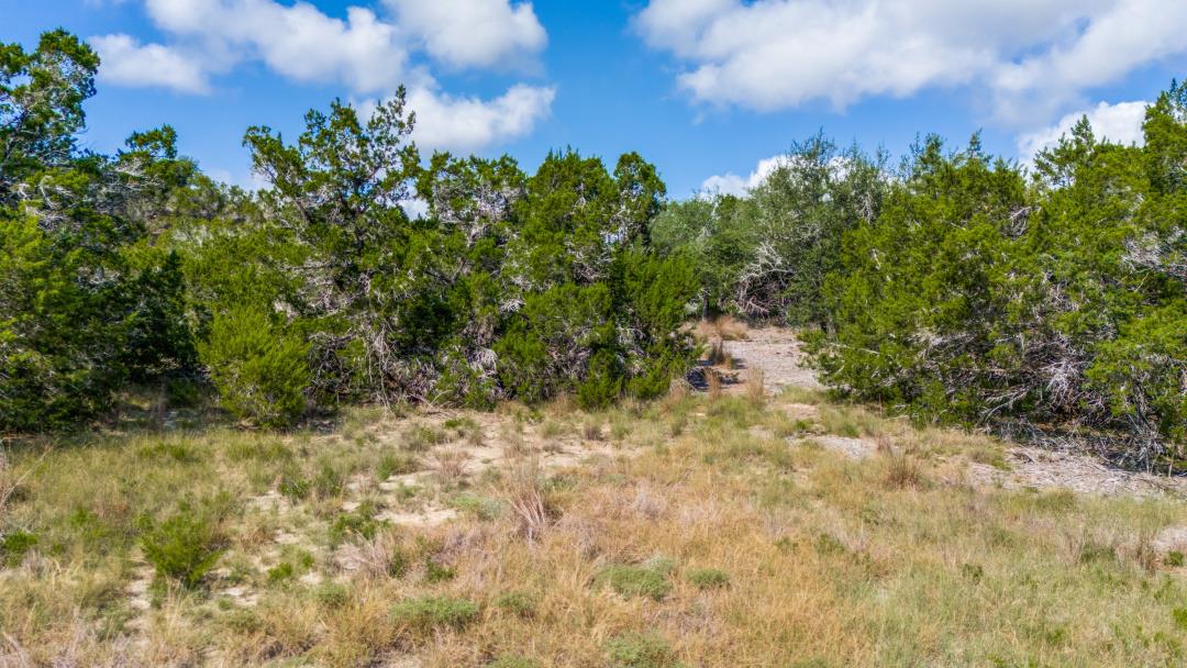 Lot36 Prancing Deer LN