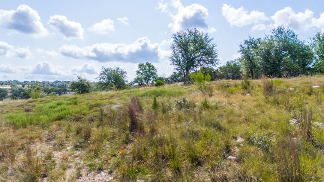 Lot36 Prancing Deer LN
