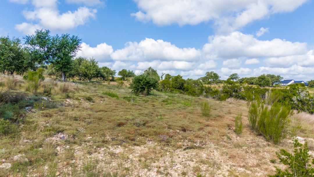 Lot36 Prancing Deer LN