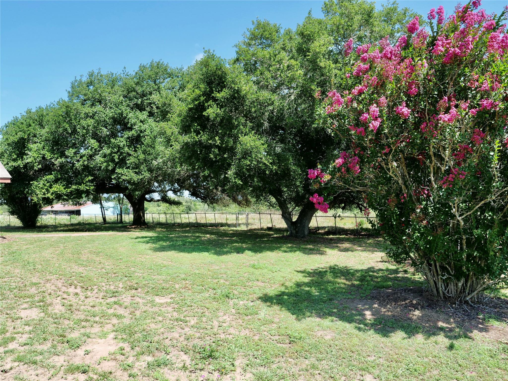 4410 Farm To Market 1115