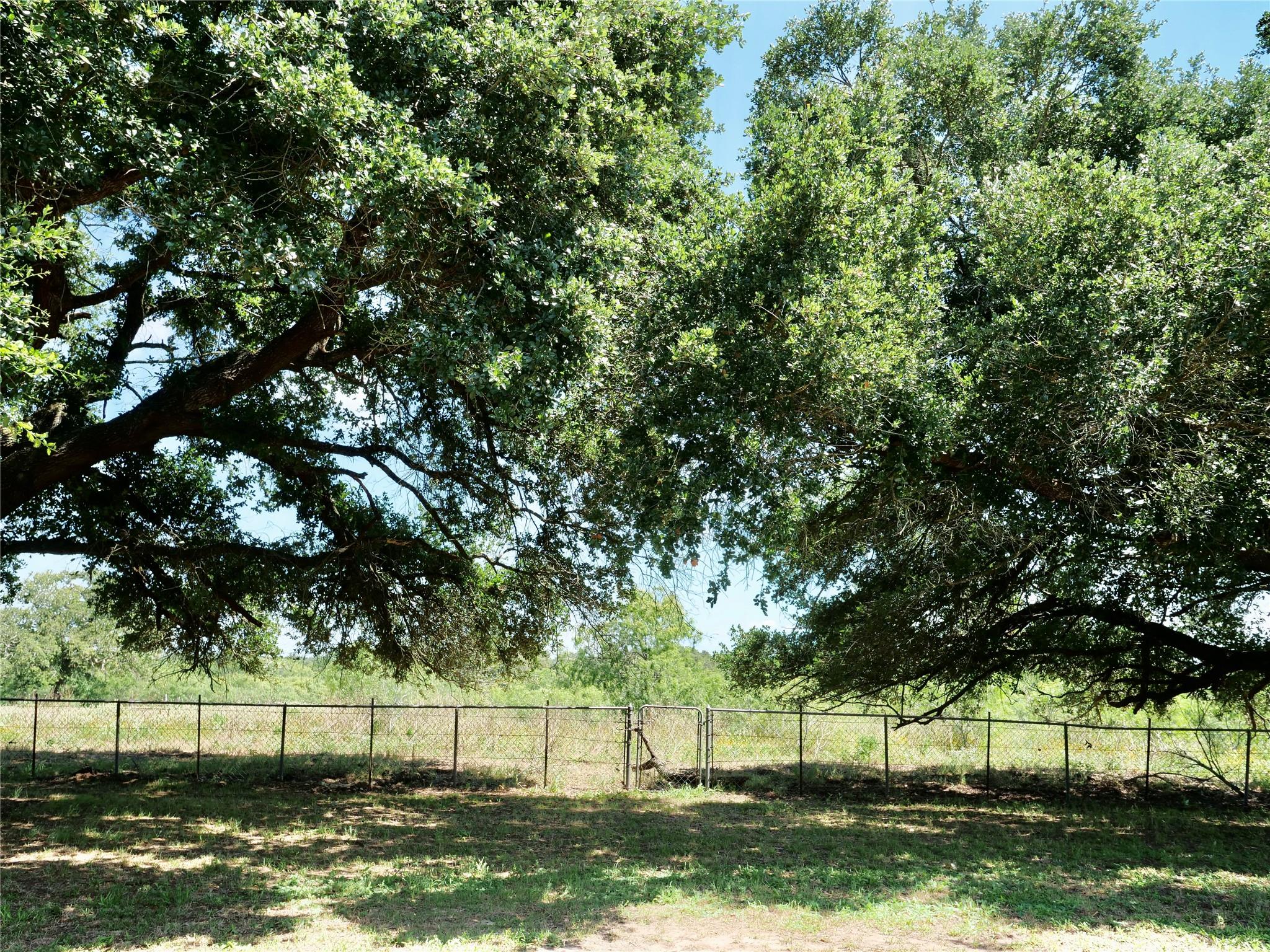 4410 Farm To Market 1115