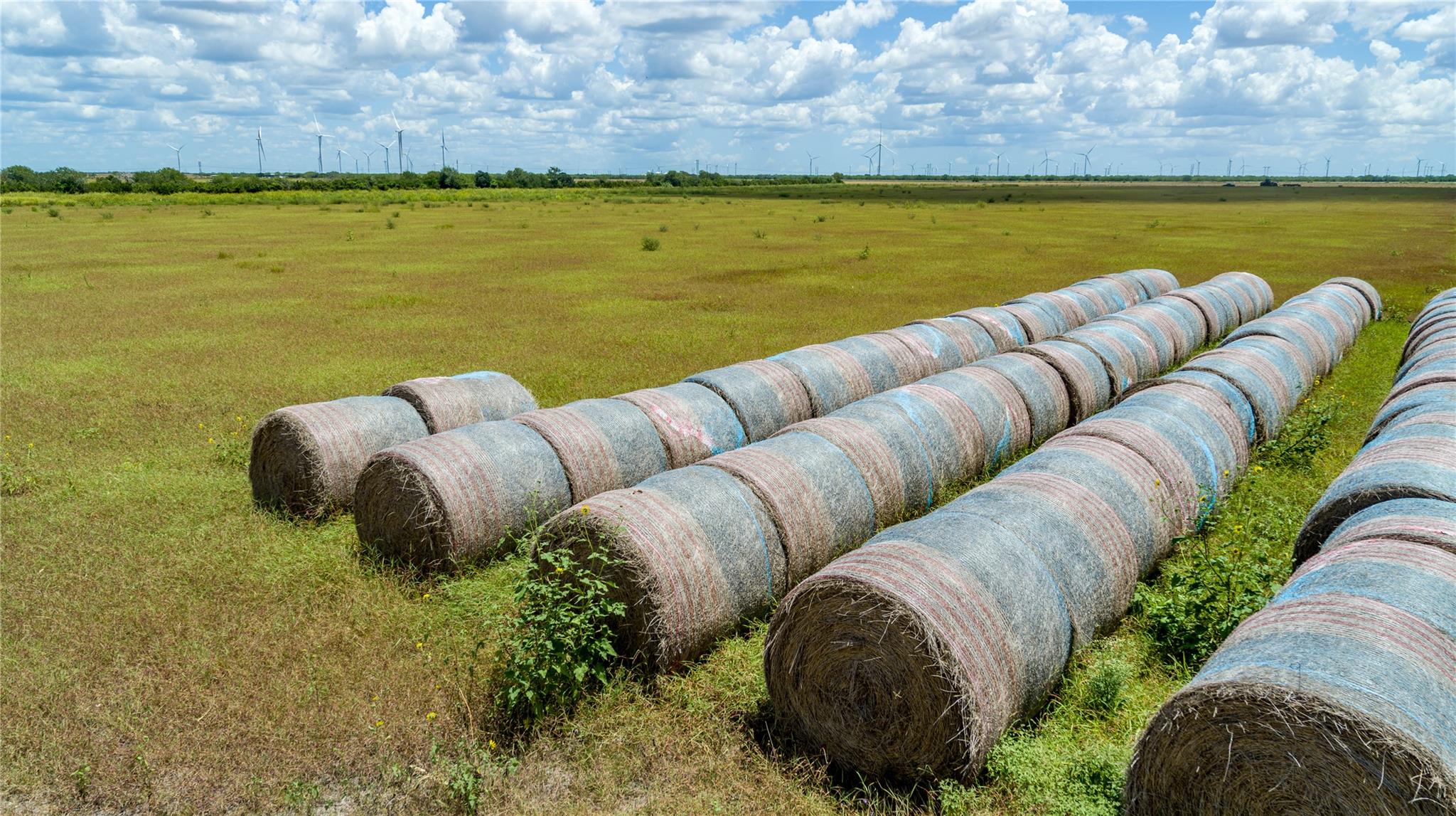 0 County Road 647