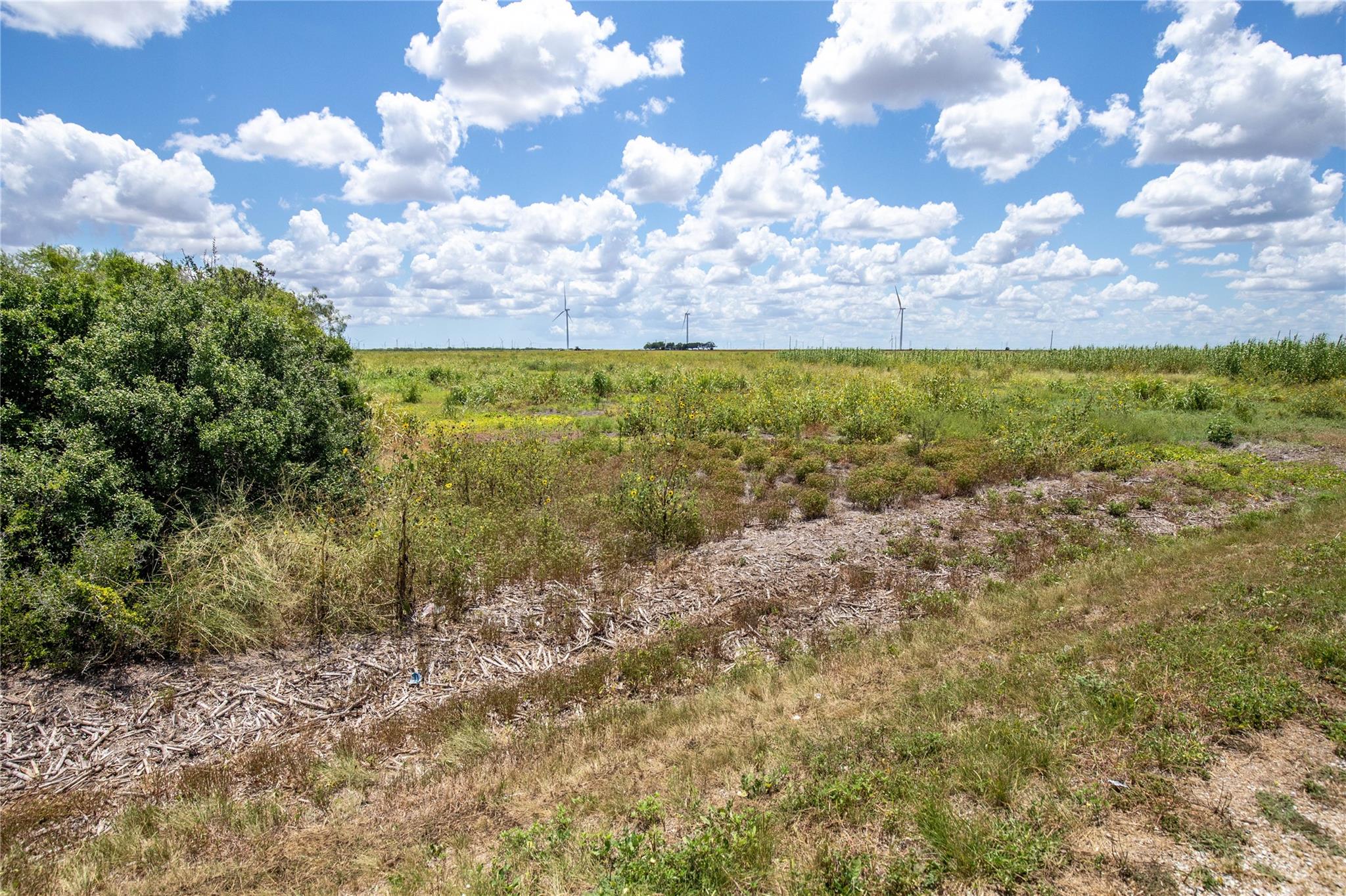 0 County Road 647