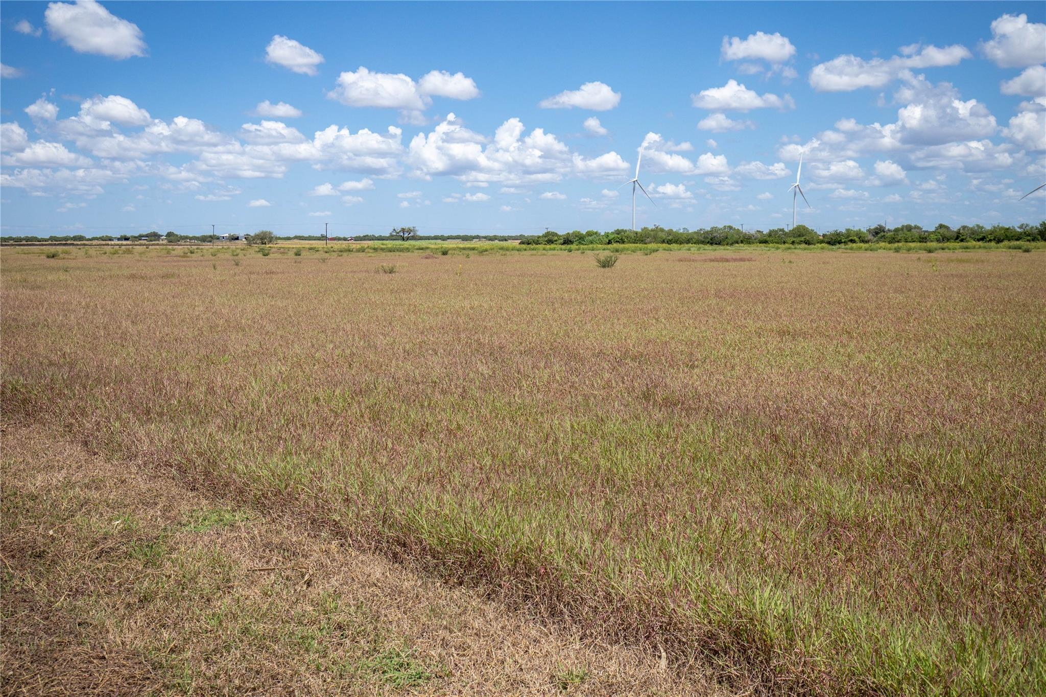 0 County Road 647