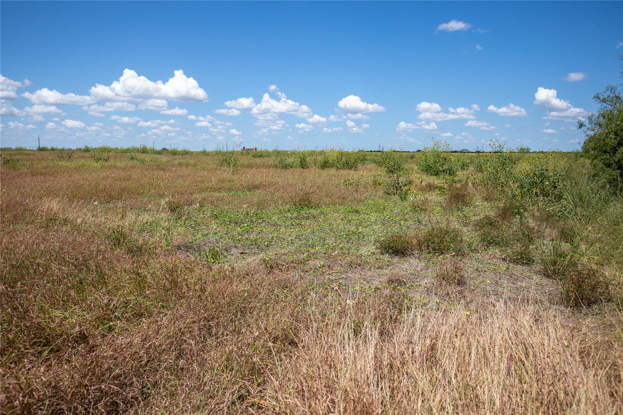 0 County Road 647