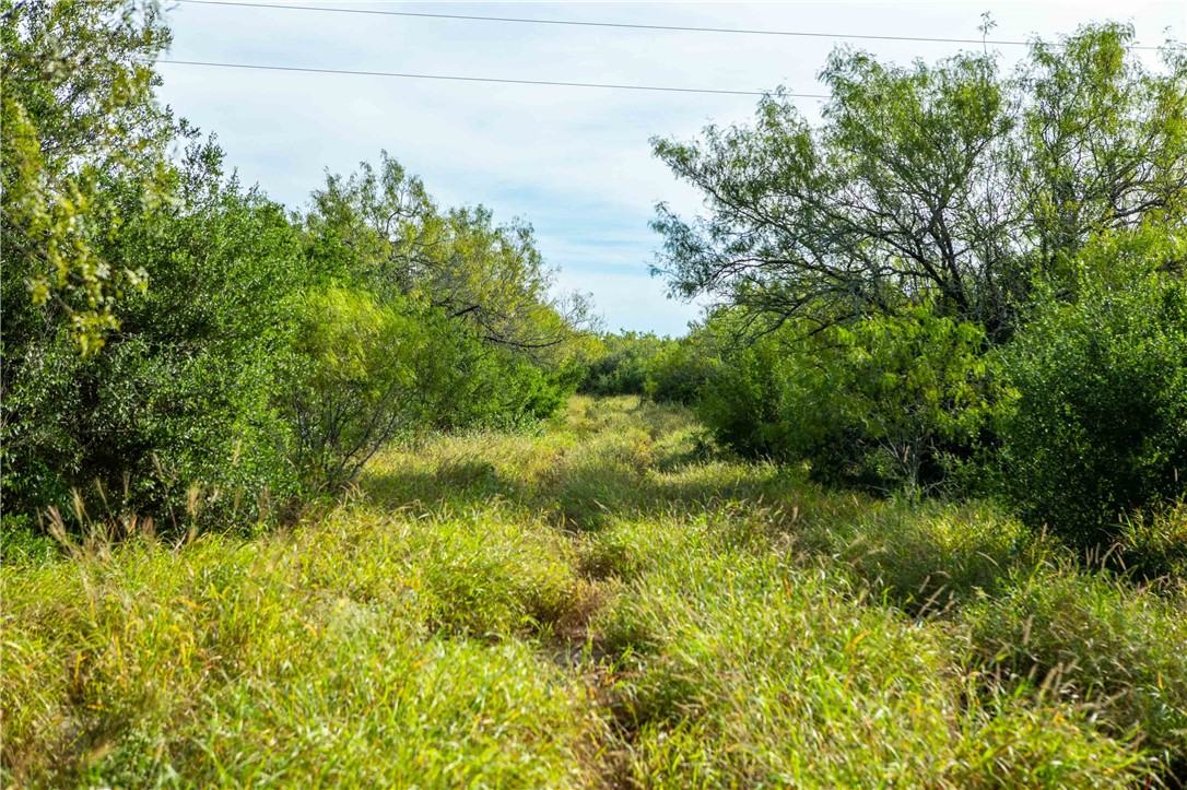 000 County Road 105