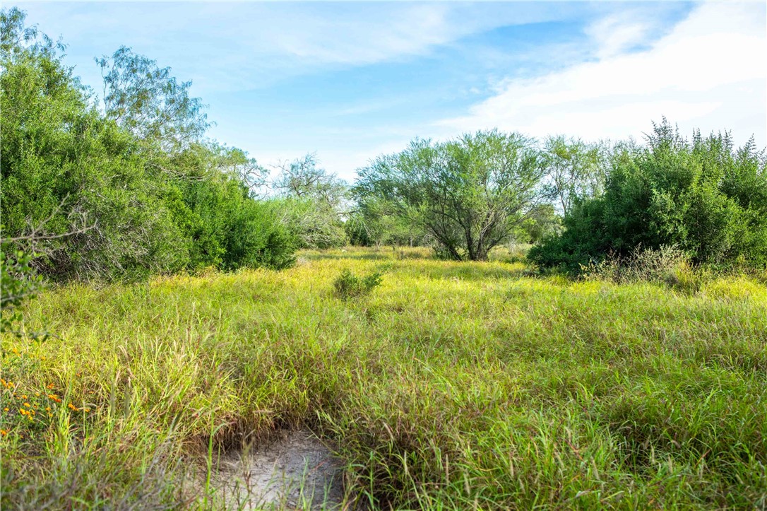 000 County Road 105
