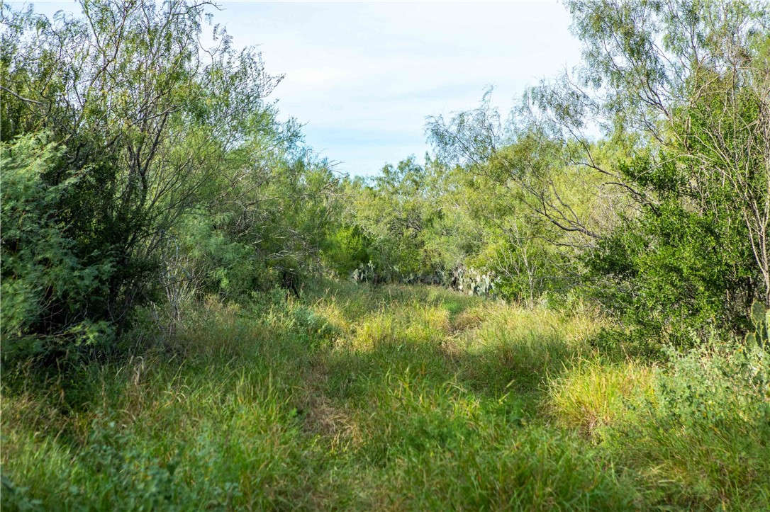 000 County Road 105