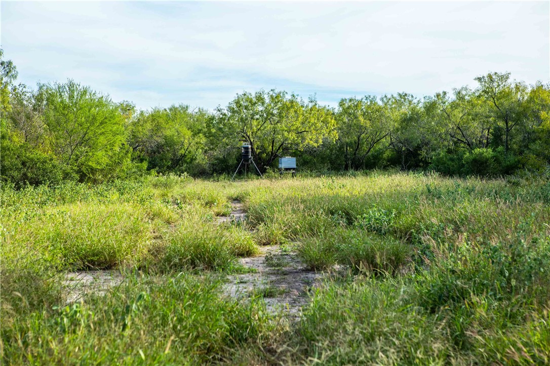 000 County Road 105