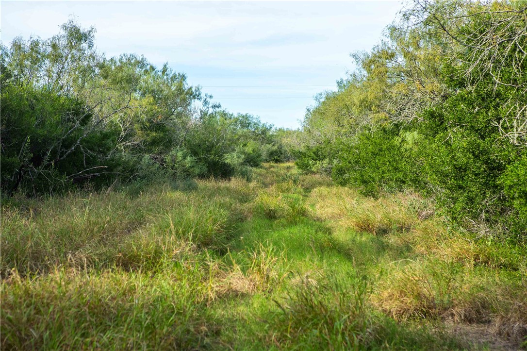 000 County Road 105