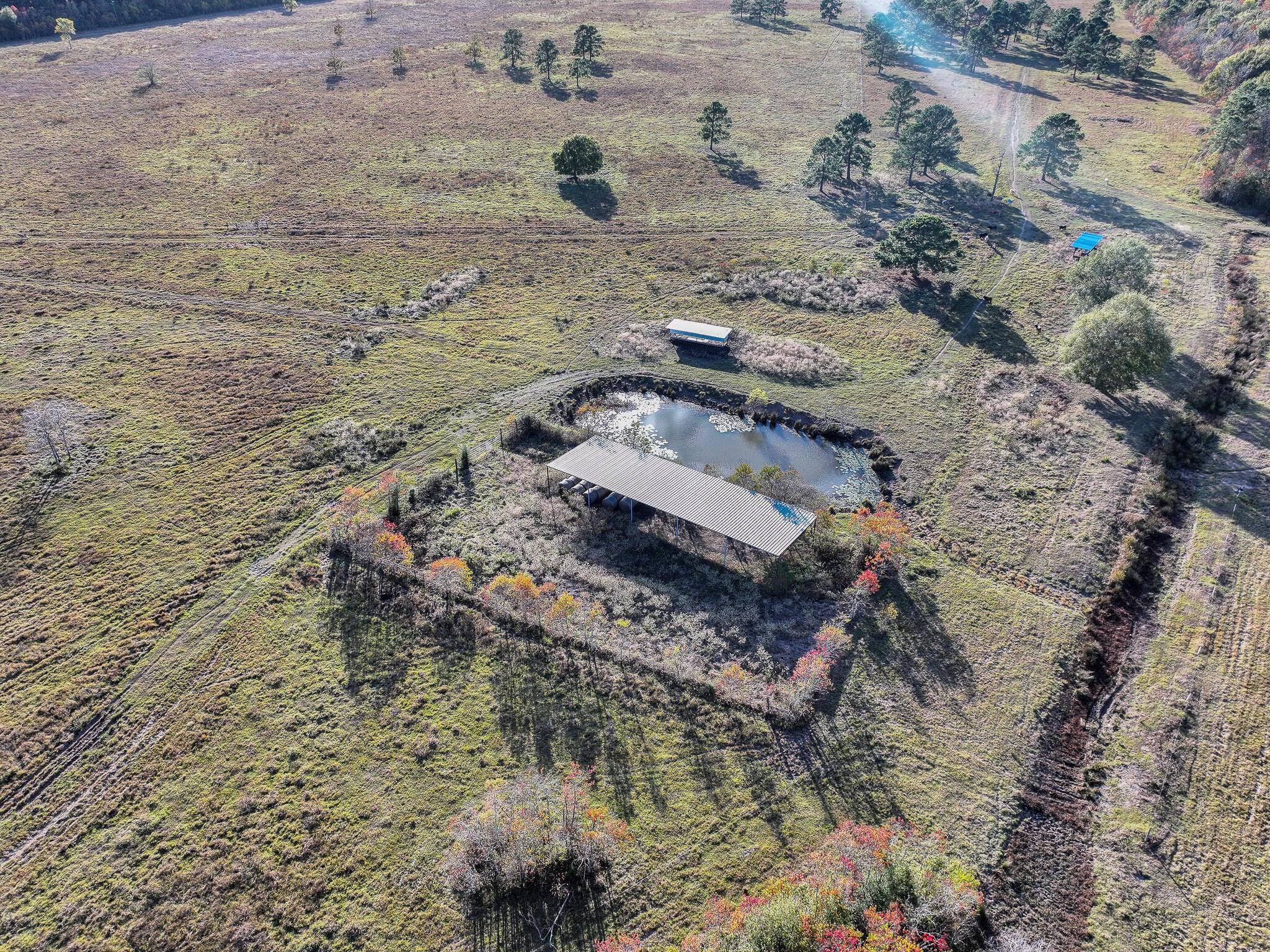 TBD County Road 2058