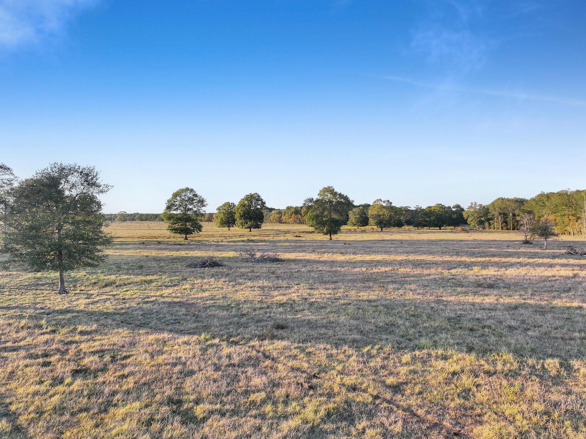 TBD County Road 2058