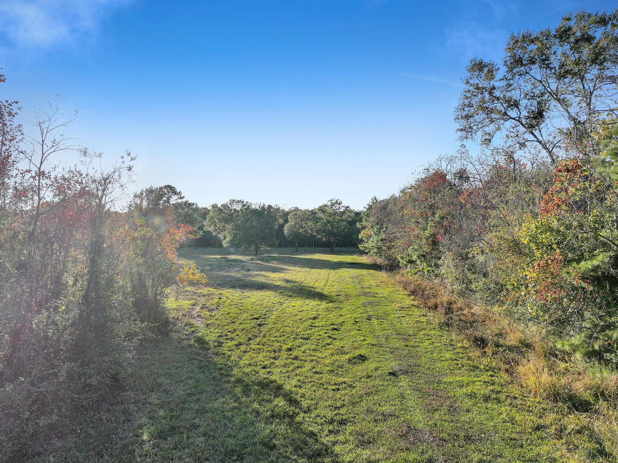 TBD County Road 2058