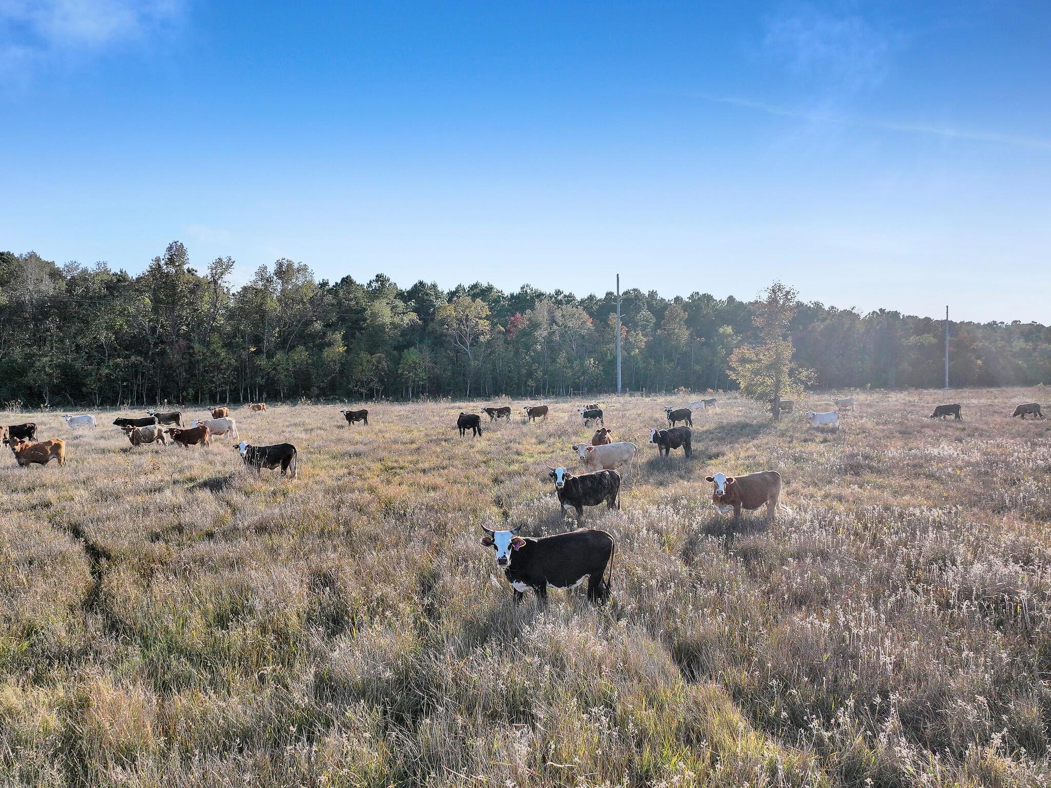 TBD County Road 2058