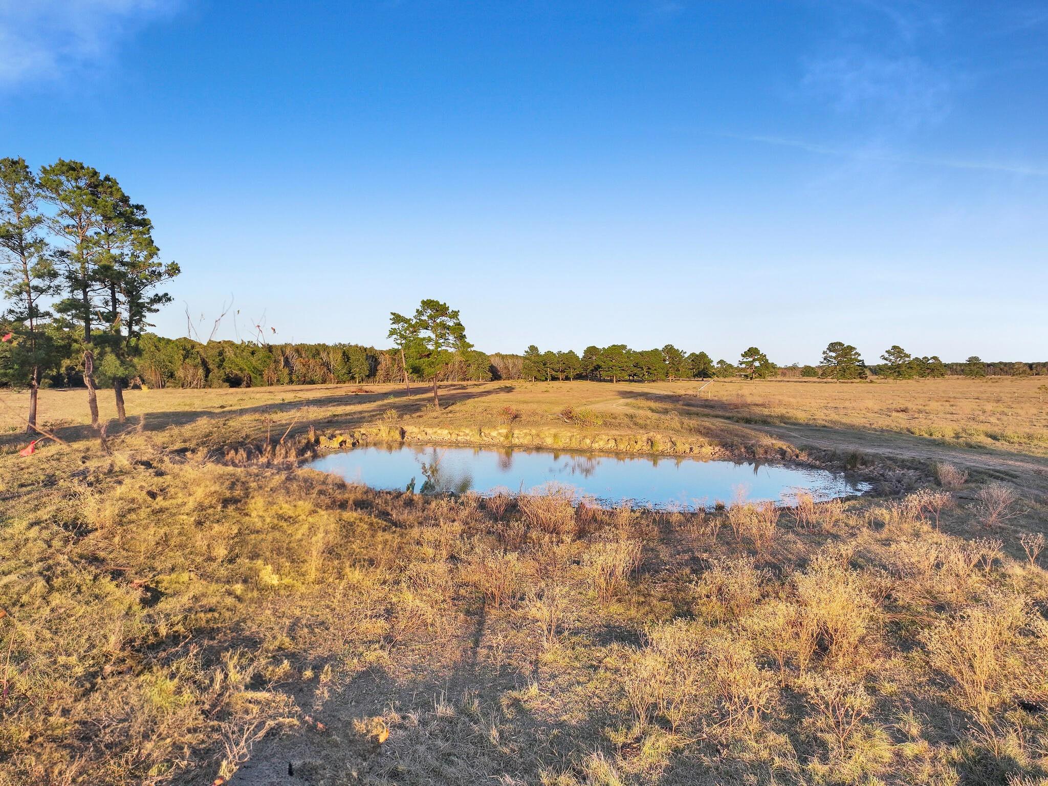 TBD County Road 2058