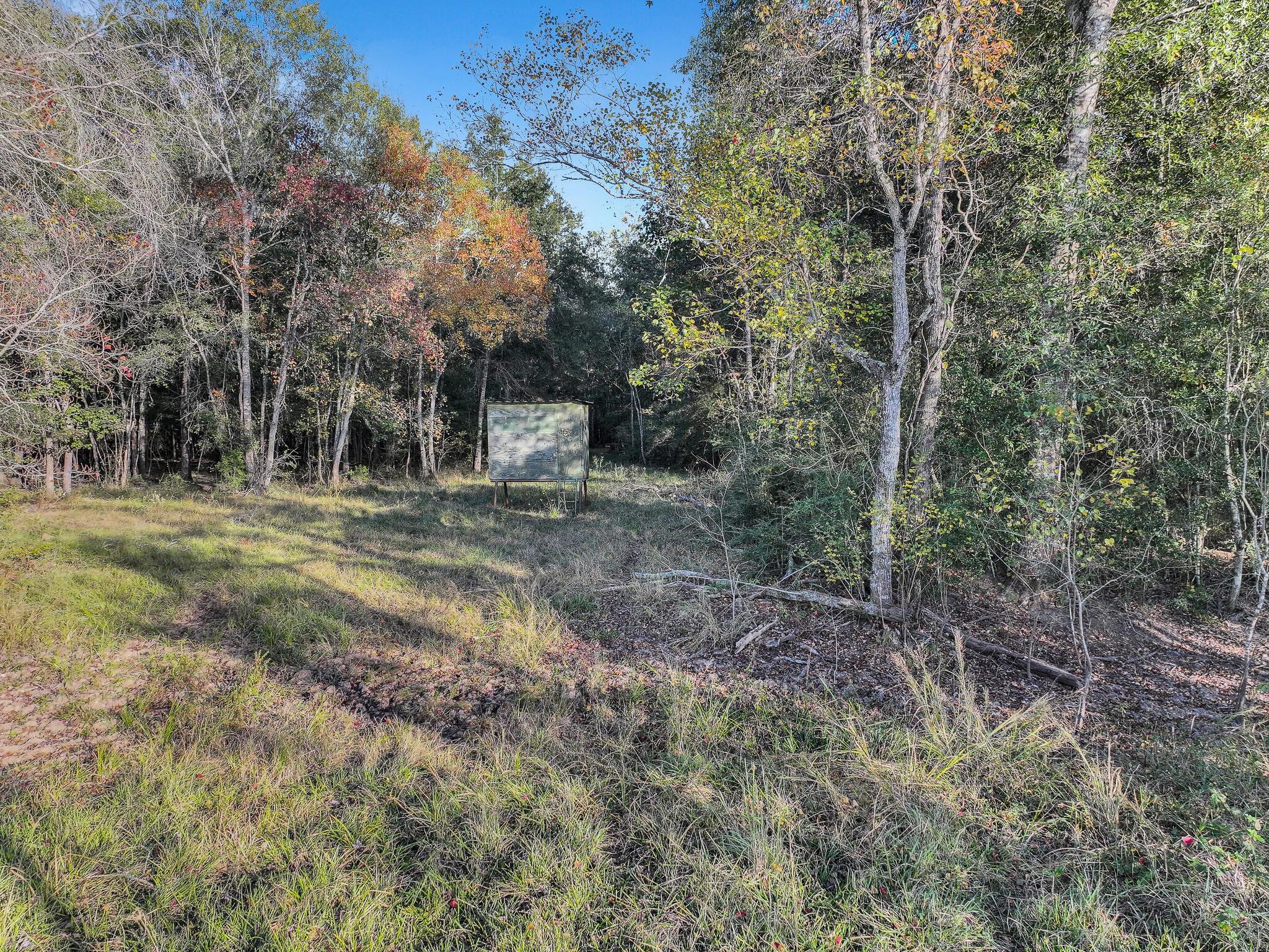 TBD County Road 2058