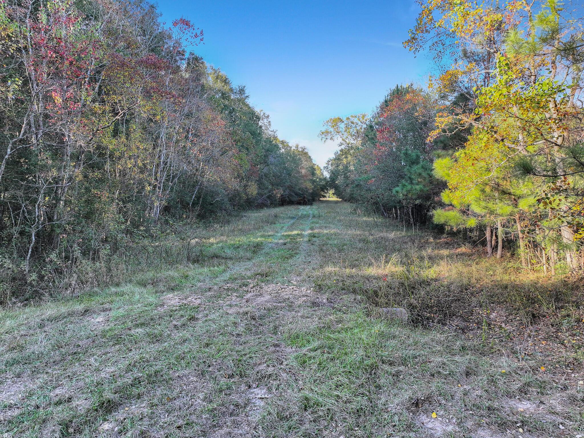 TBD County Road 2058