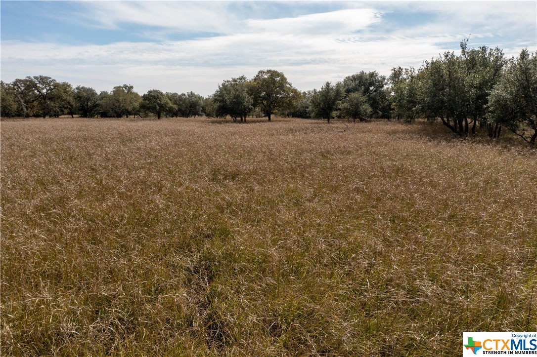 441 Private Road 1065