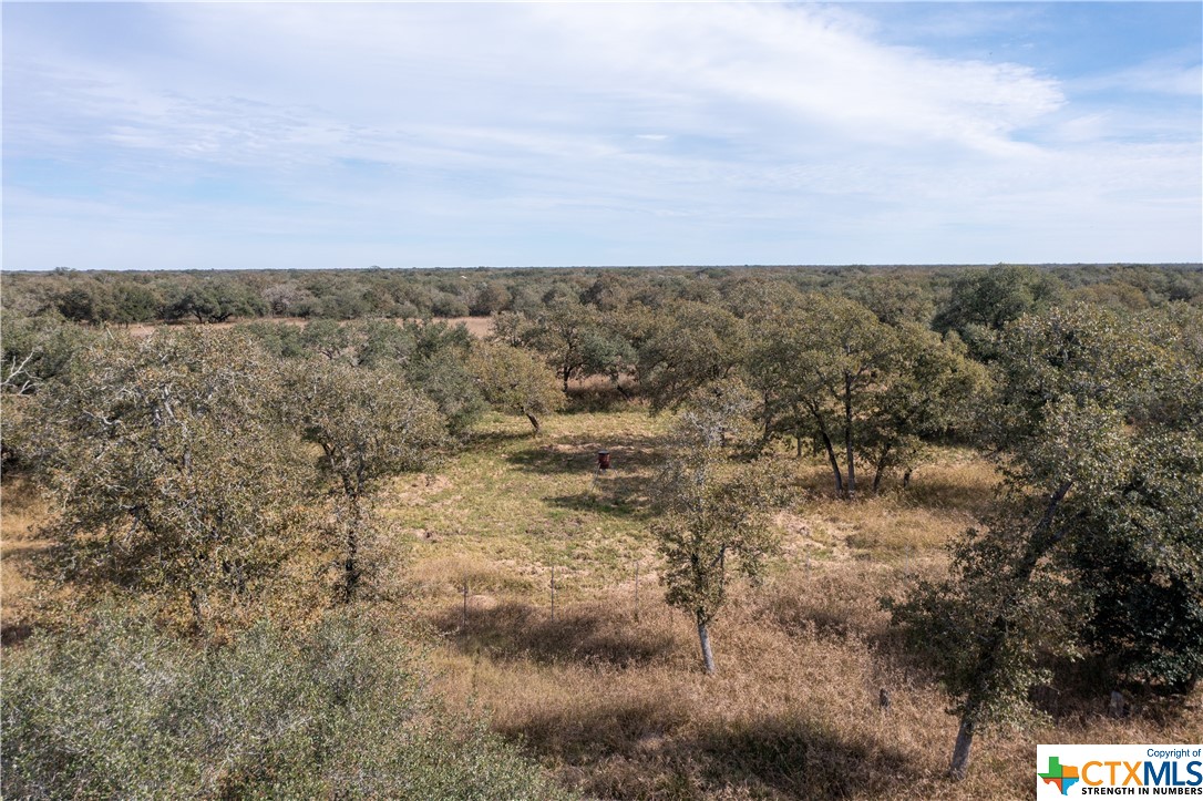 441 Private Road 1065