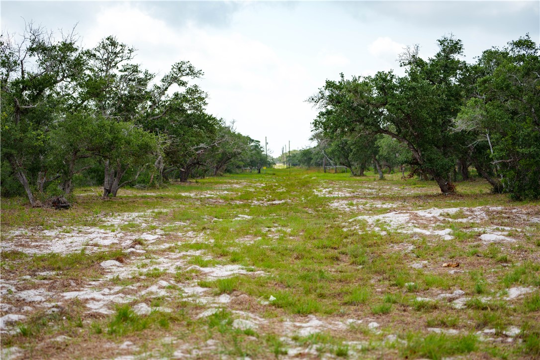 704 State Highway 35 Hwy
