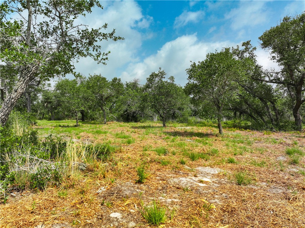 704 State Highway 35 Hwy