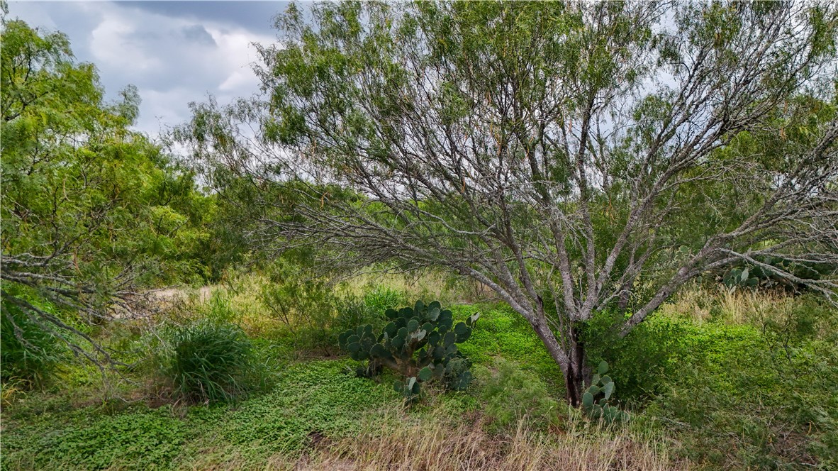 1297 County Road 336 Cr