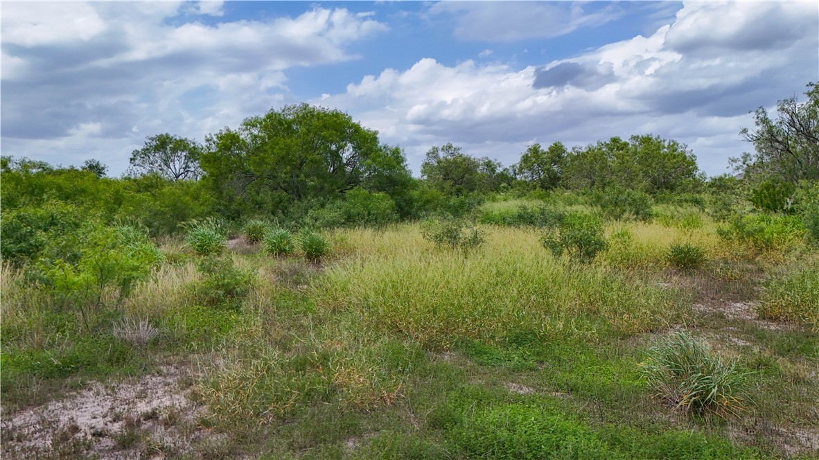 1297 County Road 336 Cr