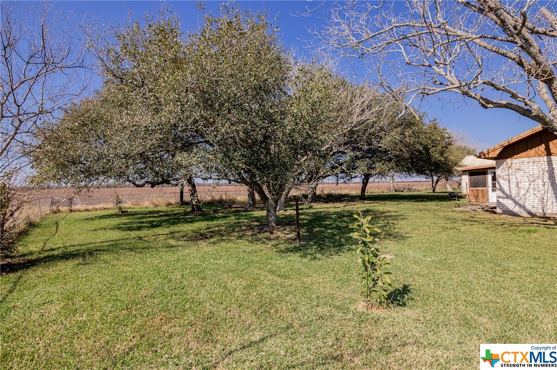 1414 Buentello Road