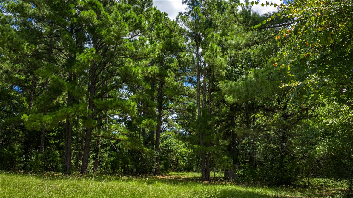 5550 Hamilton Hill Lane