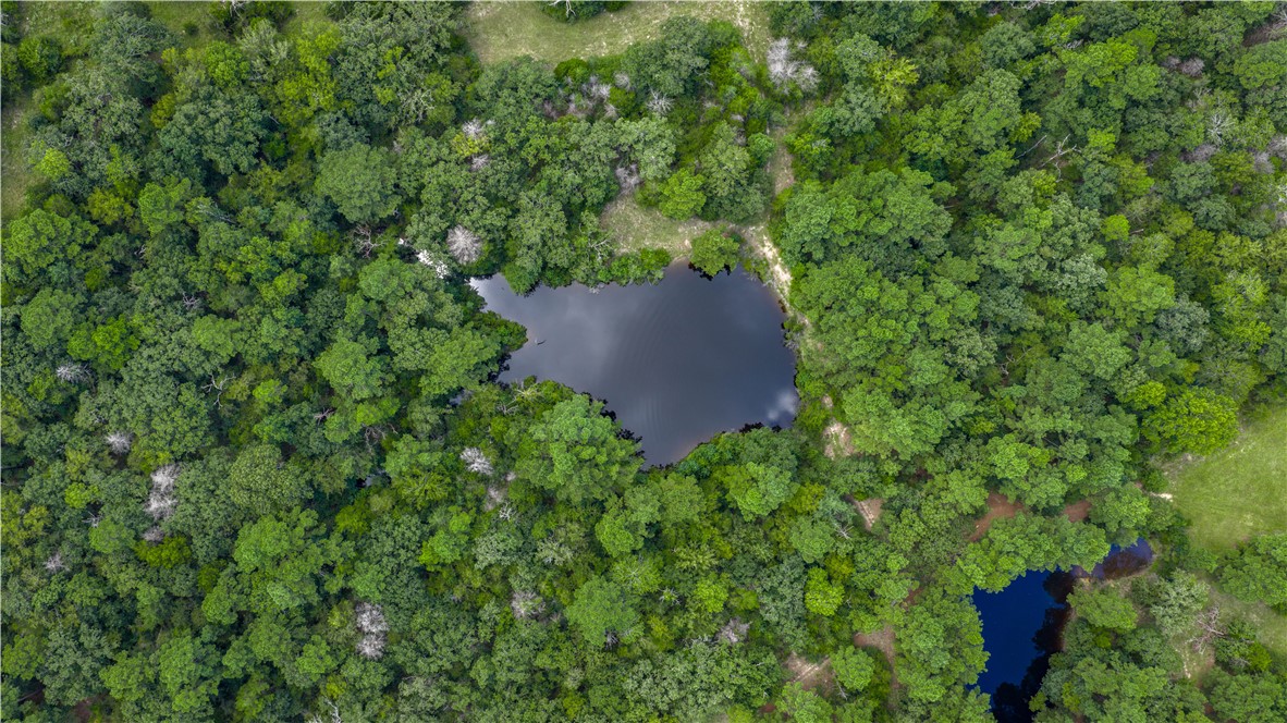 5550 Hamilton Hill Lane